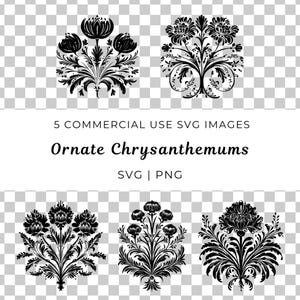 Crisantemi ornati Svg, Elegante vettore di crisantemo, Crisantemo dettagliato Svg, Crisantemo vibrante Svg, Bellissimo vettore di fioritura