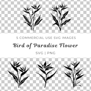 Ave do Paraíso Svg, Vetor de Flor Tropical, Flor Exótica Svg, Ave do Paraíso Bloom Svg, Vetor de Planta Tropical Vibrante, Floral Ousado Svg