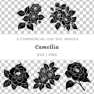 Camellia Flower Svg, Camellia Blossom Vector, Camellia Bloom Design, Elegant Floral Bloom Svg, Botanical Blossom Vector, Soft Blossom Vector