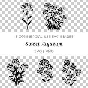 Süßes Alyssum SVG, kleine Blüte SVG, Gartenblume Vektor, Zarte Blüte SVG, Cottage Blume Vektor, Wildblumenbund, Kleine Blume Vektor