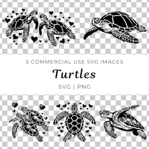 Schildkröte SVG, süße Meeresschildkröte Clipart, Ozeantier SVG, Schildkröte SVG, Ozean Leben Clipart, Strand Dekor, Schildkröte Clipart für Sommer Handwerk