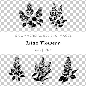 Svg de flor lila, Svg de lila floral, Svg de lila botánica, Svg de flores elegantes, Svg de flor de primavera, Svg de amante de las flores, Vector de ramo de lilas