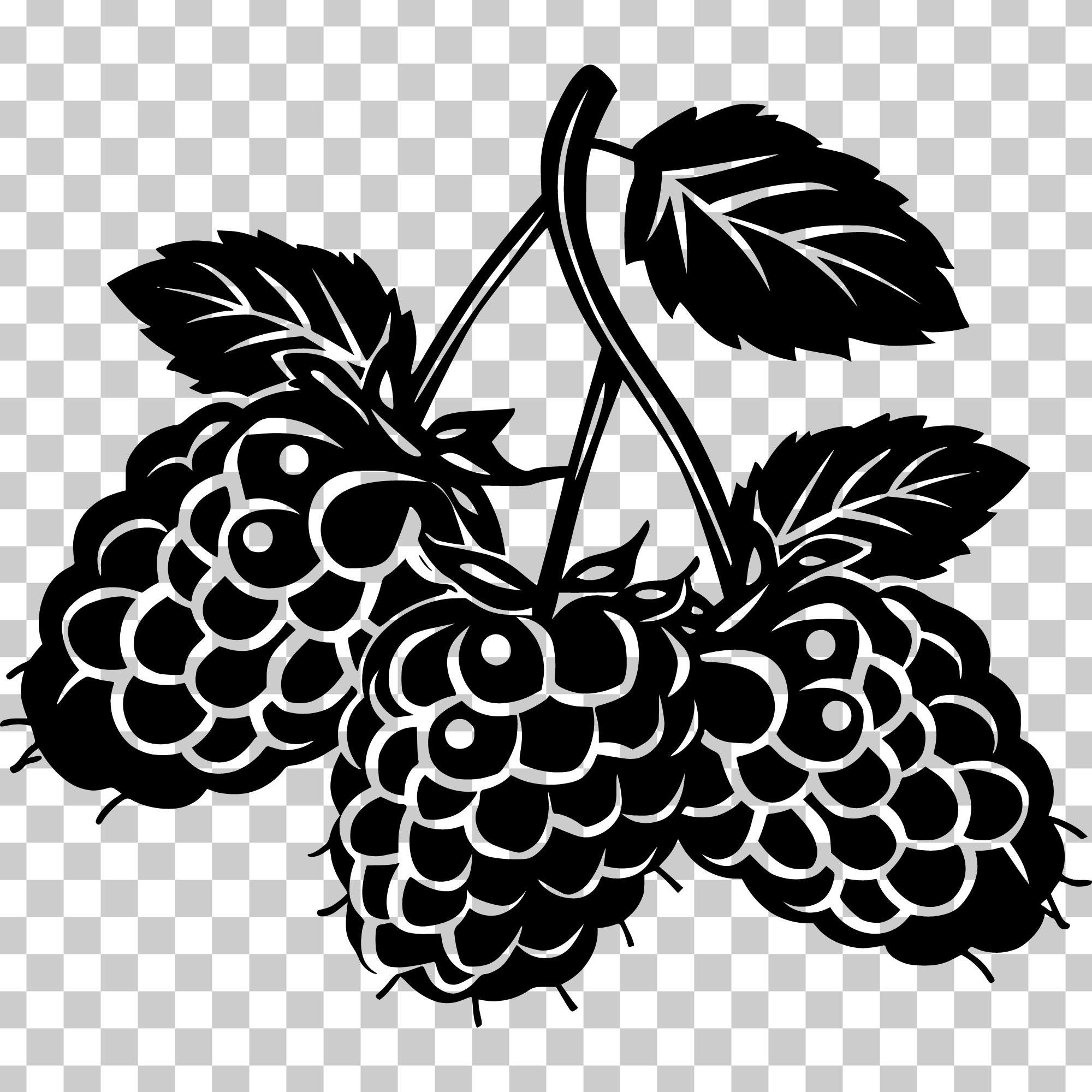 Raspberry SVG Bundle, Tropical Fruit Vector (digital Download) - Etsy