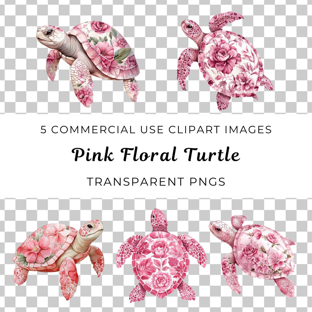 TURTLE CHOICE PINK TURTLE  ピンクタートル Amazon.com: The Petting Zoo, Lash'z Pink Sea Turtle Stuffed
