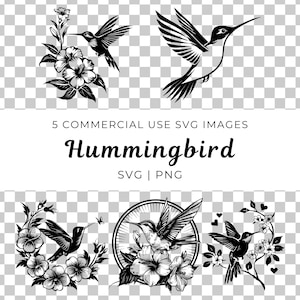 SVGs de beija-flor, imagens PNG de beija-flor, clipart com tema de natureza, imagens com tema de pássaros, beija-flor floral, arte digital, ativos de design gráfico