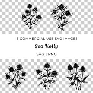 Sea Holly Flower Svg, Coastal Bloom Vektor, Spiky Blumensmvg, Distel-Like Bloom Vektor, Strand Wildblumen svg, Ocean Breeze Blumenvektor