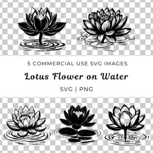 Fiore di loto in fiore Svg, Loto sull'acqua vettoriale, Fiore di loto Svg, Ninfea in fiore vettoriale, Loto sacro Svg, Design di loto tranquillo