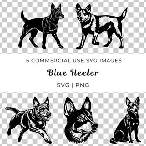 Svg Blue Heeler, Bouvier australien Svg, Svg chien de berger, bouvillonnage, Svg chien de travail, Svg animal de compagnie, Svg amoureux des chiens, Chien de ranch, Chien de ferme