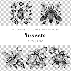 Insekten SVGs, Käfer PNG-Bilder, Naturbezogene Clipart, Insektenartige Bilder, Blumenkäfer, digitale Kunst, Grafikdesign-Assets