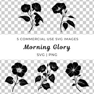 May include: Five black and white silhouette images of morning glory flowers. The flowers are in various stages of bloom and are arranged in a symmetrical pattern.