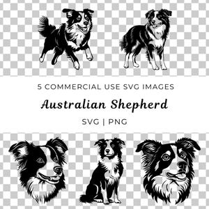 Australian Shepherd Dog Svg, Australian Shepherd Dog Vector, Aussie Dog Svg, Cane da pastore Vector, Cane da bestiame Svg, Cane da fattoria Svg, Razza australiana