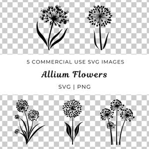 Allium Blume SVG, Allium Blossom Vektor, Mehrjährige Blume SVG, Zierpflanze svg, mutige Blume svg, Frühlingsblütenvektor, botanischer Vektor