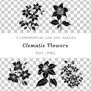Clematis Blume geschnitten Datei, Leder Blume Blatt, Clematis Blüte, Clematis, Clematis, botanische Clematis