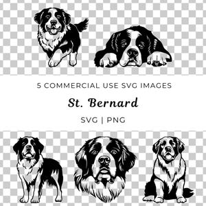 Bernhardiner geschnitten Datei, Berghunde Illustration, Berghund Illustration, Berghund Illustration, Schweizer Hunderasse Vektor, Rettungshund Illustration
