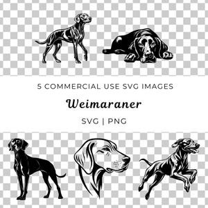 Weimaraner SVG, Hunderasse Vektor, Weimaraner Hund SVG, Jagdhund, aktiver Hund SVG, Weimaraner Kopf Vektor, Weimaraner Vektor, Hundegesicht