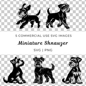 Zwergschnauzer-Hund-Svg, Zwergschnauzer-Hund-vektor, Schnauzer-Zucht-Svg, bärtiger Hundevektor, kleine Rassen-Svg, Spielzeughund-vektor