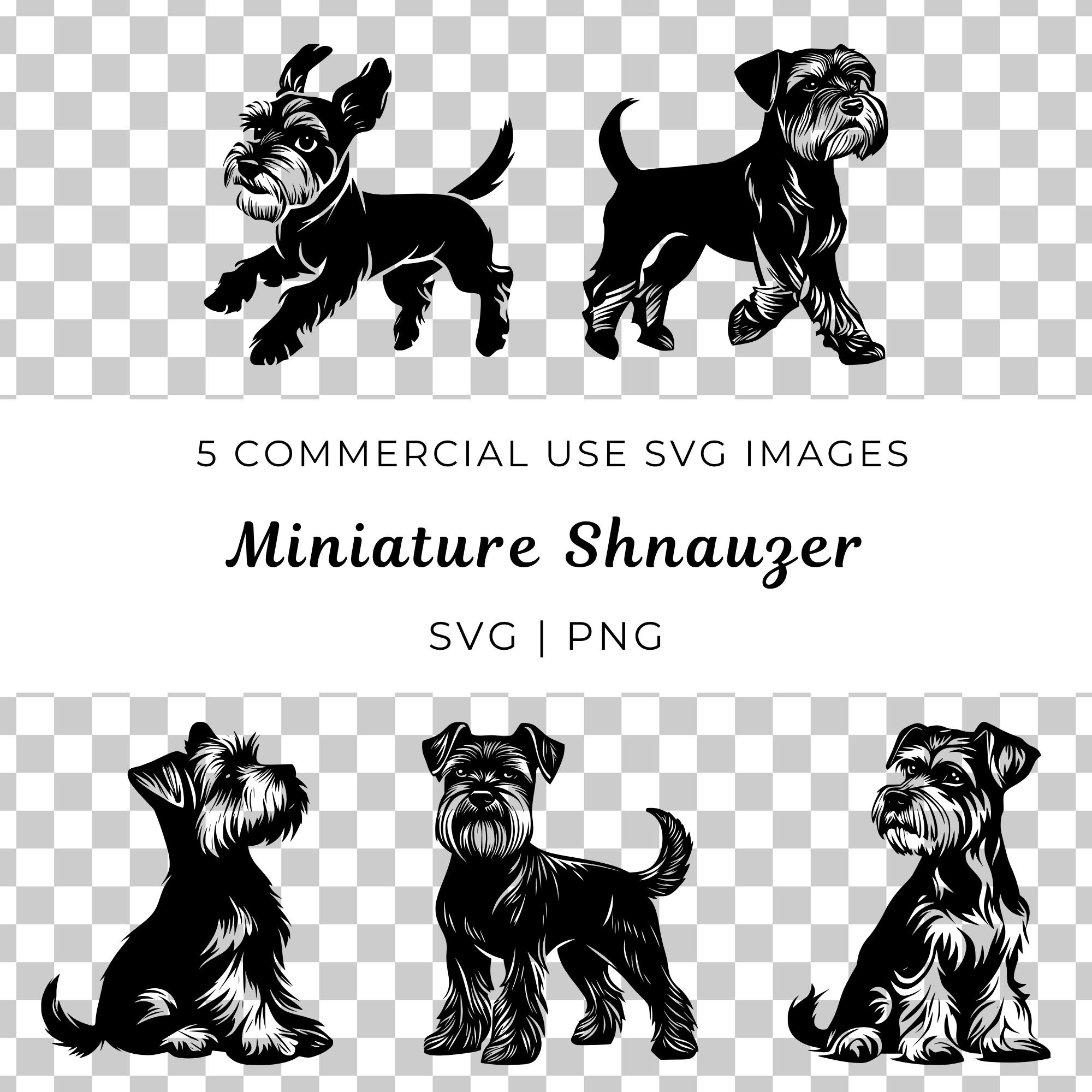 ミニチュアシュナウザー犬のSVGベクタークリップアート（デジタル