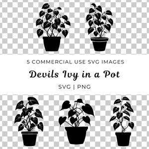 Devils Ivy Svg, Pianta da appartamento Svg, Pianta da interno Svg, Pianta ricadente Svg, Pianta sospesa Svg, Pianta tropicale Svg, Pianta in vaso Svg, Amante del giardino