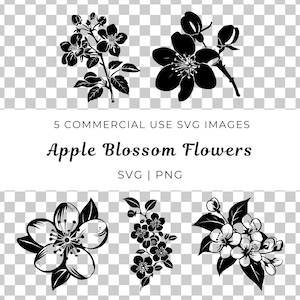 Apfelblüte Blumen svg, blühender Obstgarten vektor, Landfrühlingsblüte svg