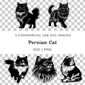 Svg de chat persan, vecteur de félin pelucheux, scène de chat persan élégant, vecteur de conception de chat à poil long, animal de compagnie gracieux, scène de chat persan domestique