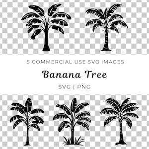 Tropische Bananenbaum Sorte, Bananenpflanze Vektor, Exotische Baum Sorte, Tropische Pflanze Vektor, Dschungelbaum Sorte, Bananenblatt Vektor, Exotische Natur