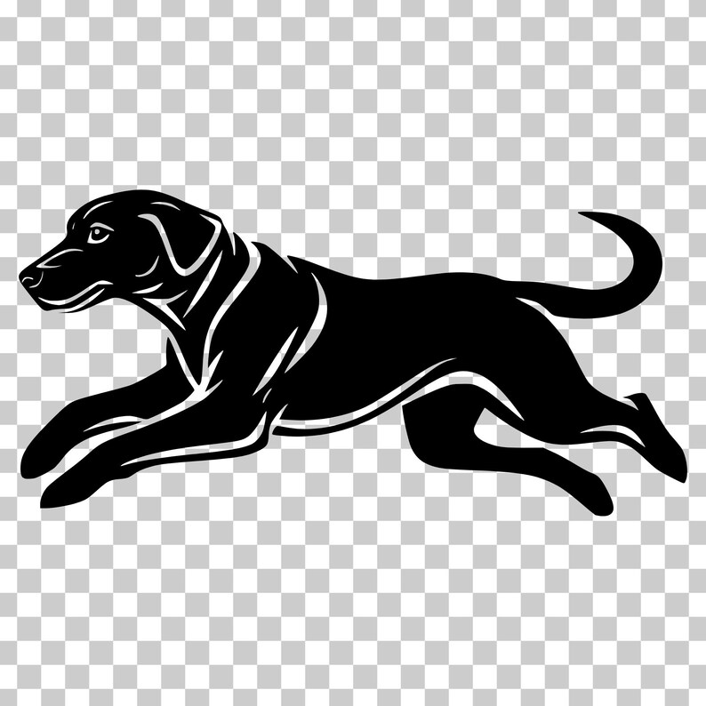 Labrador Retriever SVG Clipart, Dog Vector Graphics (digital Download ...