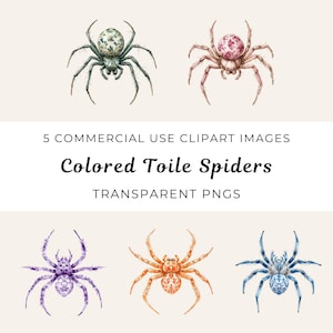 Niedliches Spinne Clipart Bundle, Floral Toile de Jouy Clipart, Aquarell Spinne Kunst, Chinoiserie Png, entzückende Spinnentier Kunst zum digitalen Download