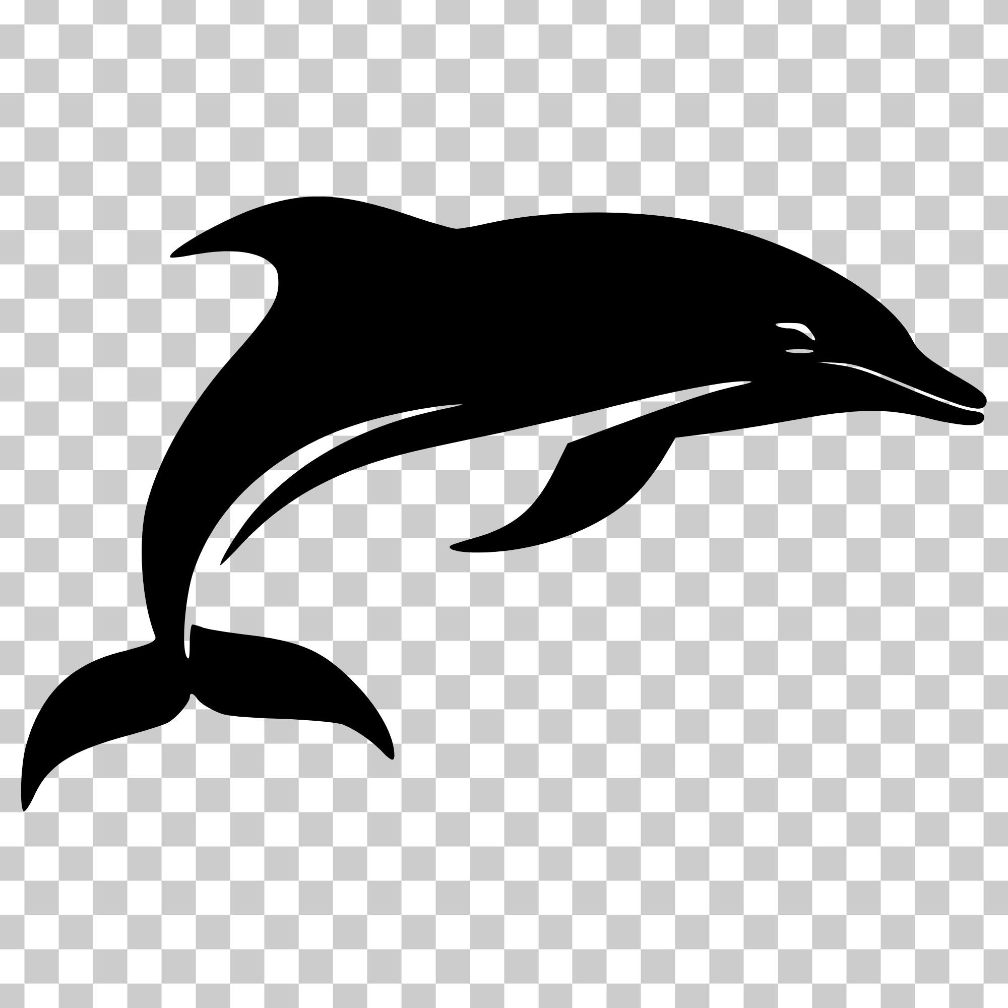 Dolphin Vector Art, SVG, PNG (digital Download) - Etsy