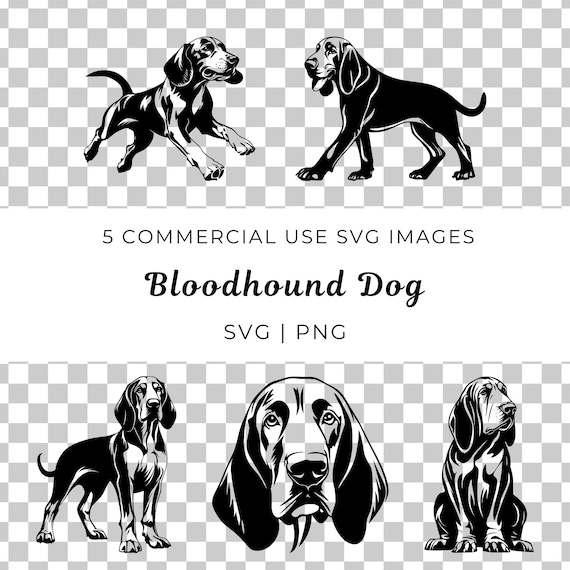 Bloodhound Dog Vector, Tracking Hound SVG (digital Download