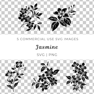 Fiore di gelsomino Svg, Vettore di gelsomino profumato, Elegante gelsomino Svg, Fiore di gelsomino floreale Svg, Festa floreale Svg, Delicato gelsomino rampicante Svg