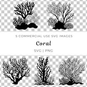 Coral Reef Svg, Ocean Life Vector, Marine Life Svg, Underwater Scene Vector, Sea Floor Svg, Reef Ecosystem, Tropical Reef Svg, Marine Scene
