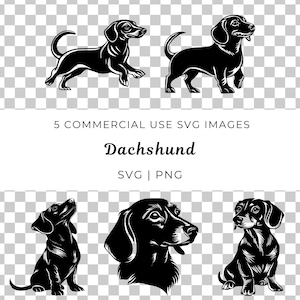 Dackel-Svg, Dackel-Svg, Dackel-Welpen-Svg, Dackel-Liebhaber-Svg, Dackel-Besitzer-Svg, Dackel-Liebhaber-Svg, Dackel-Besitzer-Svg, Dackel-Besitzer-Svg