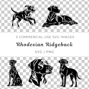 Rhodesian Ridgeback Svg, Ridgeback Dog Vector, Afrikaanse hondenras Svg, atletische hond Svg, waakhond Vector, sterk ras Svg, loyale hond Svg