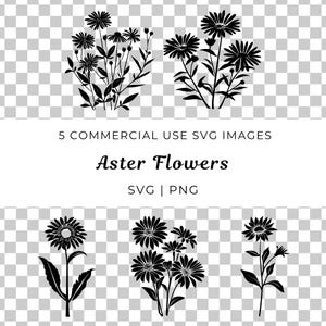 Aster Flower Svg, Vettore Aster autunnale, Aster Blossom Svg, Fiore di campo Svg, Elegante vettore Aster, Giardino Aster Svg, Vettore pianta Aster floreale
