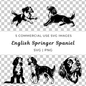 Englisch Springer Spaniel svg, Springer Spaniel vektor, Field Trial Hundevektor, aktive Hunderasse svg, Floppy Eared Hundeswap, Spaniel Hund svg