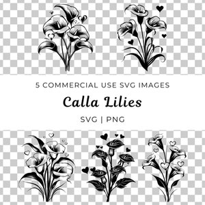 Pacote SVG, imagens PNG, lírios de calla, clipart com tema da natureza, imagens florais, planta botânica, Zantedeschia, bulbos de lírio de calla, flor tropical