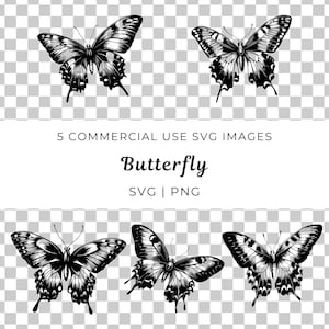 Schmetterlings-Svg, Natur-Svg, Monarchfalter-Svg, Insekt-Svg, Exotischer Schmetterling-Svg, Garten-Svg, Wald-Svg, Wald-Svg, Natur-Liebhaber-Svg
