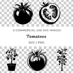 トマトのベクター、野菜のベクター、新鮮な農産物の SVG、オーガニック食品のベクター、庭の野菜の SVG、熟したトマトの SVG、自然の恵みのベクター