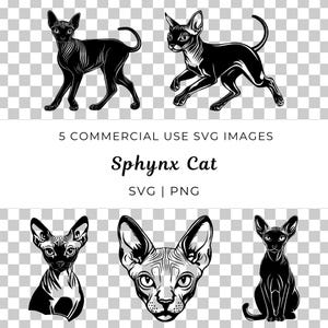 Vettore di gatto Sphynx, vettore di gatto senza peli, gatto unico Svg, animale domestico esotico Svg, vettore di razza Sphynx, design felino, gatto elegante Svg, amante dei gatti Svg