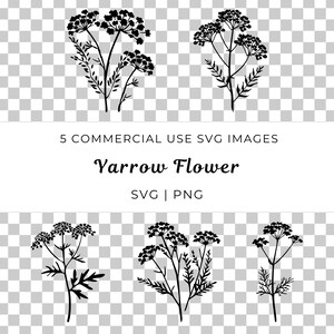 Schafgarbe Blume SVG, Wildblumen Blüte Vektor, Bio-Blumen-Svg, Wiesenblüte Vektor, mehrjährige Pflanze svg, Natur inspirierter Vektor