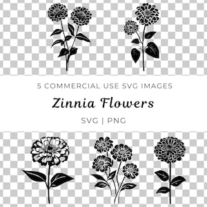 Zinnie Blumen Svg, Blumen Svg-Pack, Zinnie Blüte Vektor, Botanische Svg, Wildblumen Svg, Gartenblume Svg, Sommer Floral, saisonale Blume