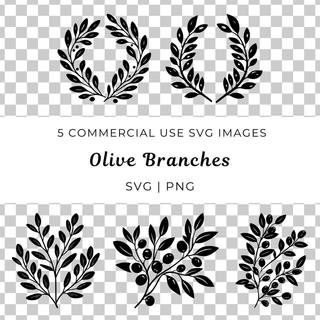 Olive Branch Vector, Leafy Vine SVG PNG (digital Download) - Etsy