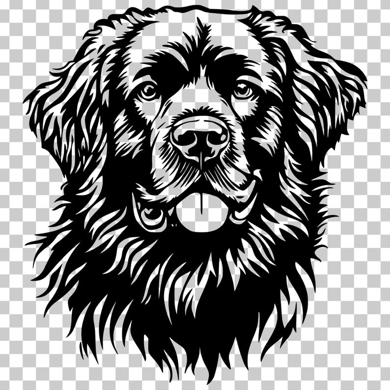 Newfoundland Dog SVG, PNG Vector Clipart (digital Download) - Etsy