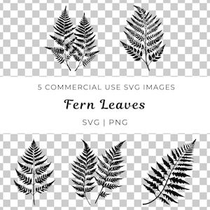 Folha de Samambaia Svg, Vetor de Design Botânico, Padrão de Folha Svg, Samambaia Tropical Svg, Natureza Inspirada Svg, Natureza Floral Svg, Design de Folha Orgânica