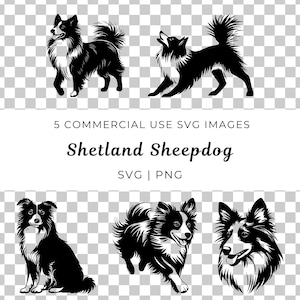 May include: Five black and white silhouette illustrations of Shetland Sheepdogs in various poses. The illustrations are suitable for commercial use and are available in SVG and PNG formats.