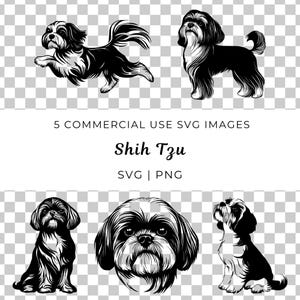 Perro Shih Tzu Svg, Lindo Shih Tzu Svg, Perro De Pelo Largo Svg, Cachorro Shih Tzu, Perro Esponjoso, Amante De Shih Tzu, Amante De Los Perros, Perro Leal, Mascota Doméstica