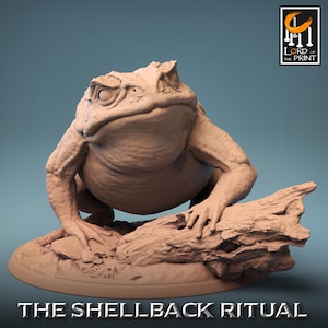 Kröten (7 Variationen) von Rescale Miniatures |Shellback Rituals| DND | D&D | TTRPG |Tischplatte|