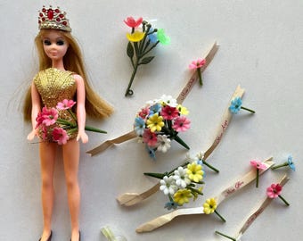 Beauty Pageant Dawn Lot