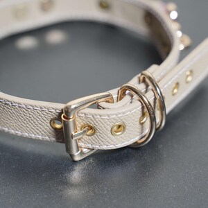 Puede incluir: Un collar de perro de cuero beige con herrajes dorados y cierre de hebilla.