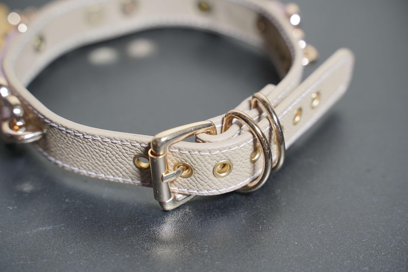 Puede incluir: Un collar de perro de cuero beige con herrajes dorados y cierre de hebilla.